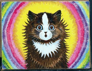 Cat in a Rainbow